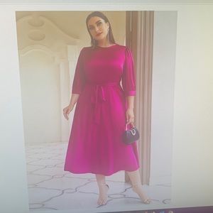 SHEIN Mosley Plus Solid Puff sleeve Dress